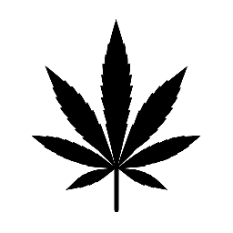 Cannabis dispensary store